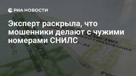 Что делают мошенники с СНИЛС в Эйвон