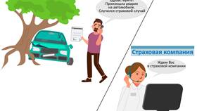 Что такое страховая выплата в Эйвон