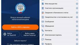 Как оформить кабинет налогоплательщика через Госуслуги в Эйвон