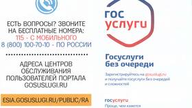 Как узнать номер заявления на Госуслугах в Эйвон