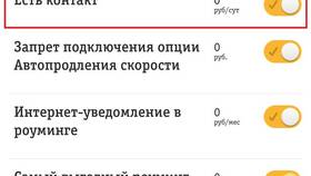 Обещанный платеж в Билайне: что это значит в Эйвон