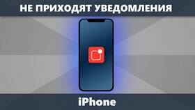 Почему уведомления приходят без звука на iPhone в Эйвон
