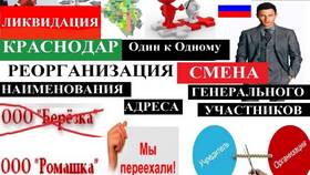 Реорганизация юридического лица: порядок и особенности в Эйвон