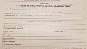 Справка СЗИ-ЛС из Пенсионного фонда: что это в Эйвон