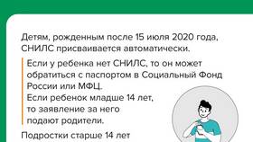 Зачем нужен СНИЛС для договора в Эйвон